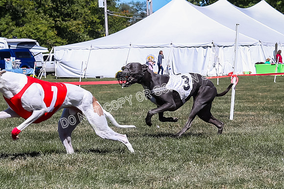 Prg 3, Race 2, Reas Cobalt Mika Blitz-9586
