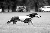 Prelims Mavis-1018-2