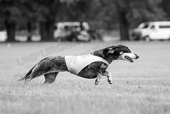 Prelims Mavis-1018-2