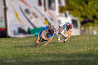 Prg 1, race 1, Arrow Blitz Rosie Floyd-0558
