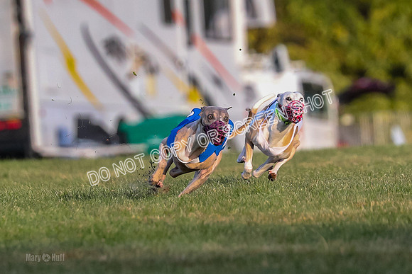 Prg 1, race 1, Arrow Blitz Rosie Floyd-0558