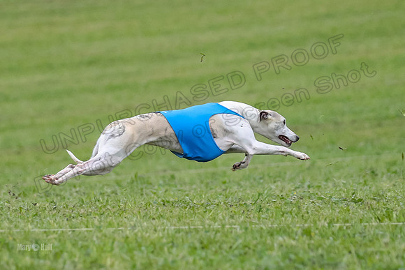Prelims Open D1, Aubrey Player Mizuno-4327