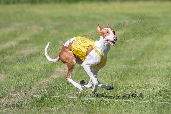 Prelims Open Jagger Maverick-5365