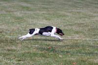 IMG_9773
