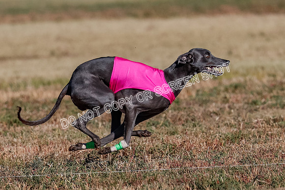 Open, Prelim, Luke-Flint-Lancer-4436