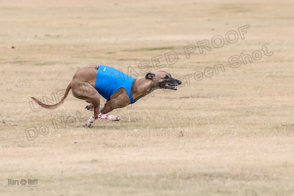 1Prelim Open 3 Eggsy Trixie Treble-3023