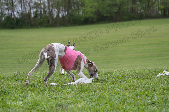 Finals Open A2, Lydia Audrey Misty-6711