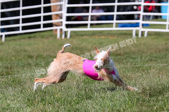 Open Prelim A2, Madyson, Razz-7651