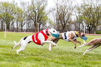 WRA, Prg 4, Race 1, Dash, Elvis Mika Buzzsaw Moonstruck-9281