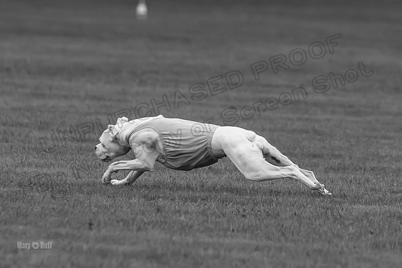 Prelims Nilla-0889-2