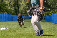 AE4I6664