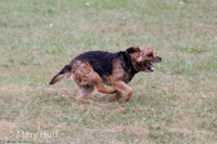 IMG_9390