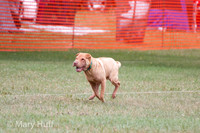 IMG_9049