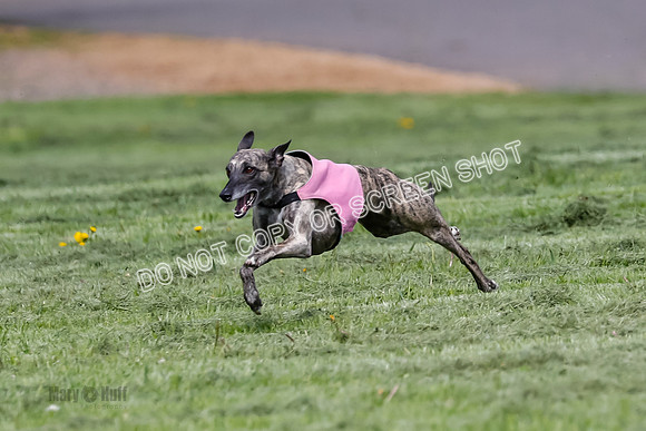Open, Prelim, Stilla Lola Riley-8272