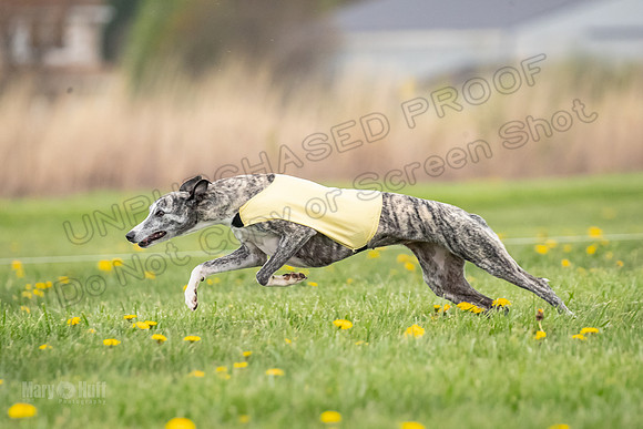Finals Fch A1 Whisper Treble JesseJames-9048