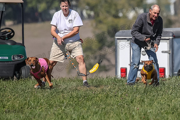 2 Finals Vet 2 Erzulie Libby-8151