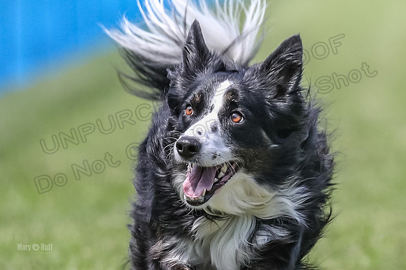 AE4I9348