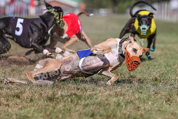 Prg 4, Race 5, Rasta Cammie Warrior Grim Buckwheat-0224