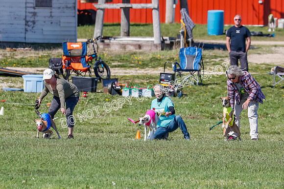Prelim, Rocky Shimmy Zed-2390