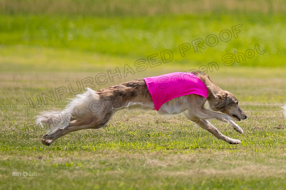 Finals Ripley Lily-0061