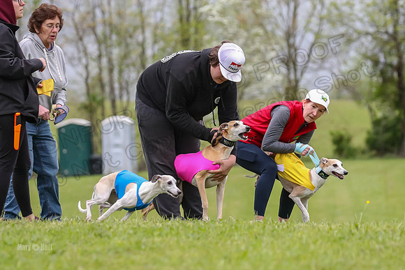 Prelims Open D1, Aubrey Player Mizuno-4265