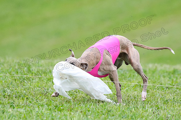 Prelim Open E2, Riddle Finely Scarlet-4918