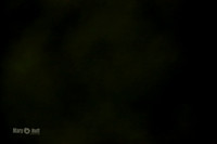 MCH51487