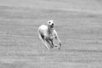 Prelims Sebastian-0601-2