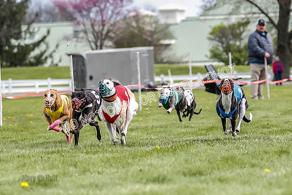 WRA, Prg 1, Race 10, Jamie Pico Nami Elia CC Savvy-8413