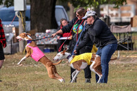 1 Prelims Fch 2 Jadis Beastie Ginny-0752
