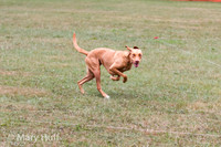 IMG_0477