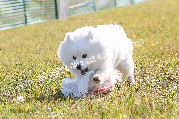 AE4I0382