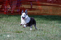 IMG_8167