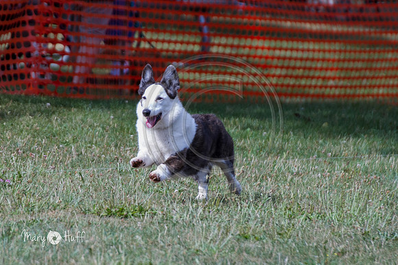 IMG_8167