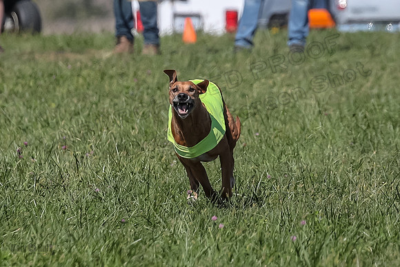 2 Finals Vet 1 Zayin Xena-8073