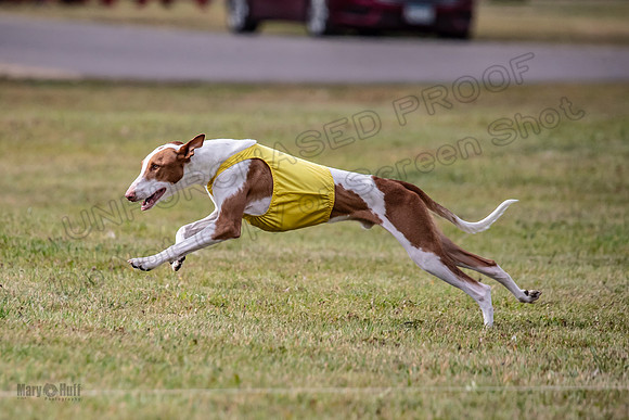 Finals Open 1 Jagger Maverick-3025