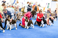Winners Dog