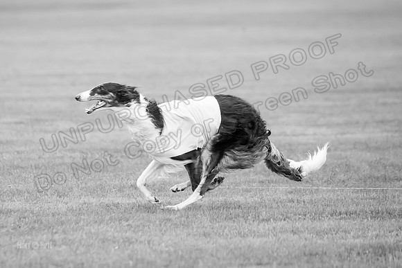 Open Prelim 2, Masquerade Freebie-0540-2