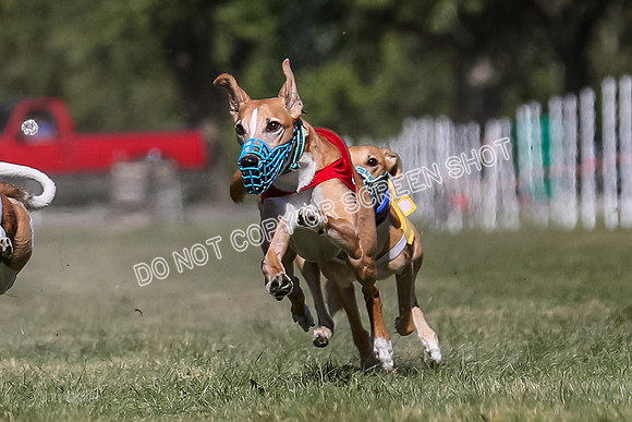 Prg 4, Race 7, Seavey Gnocchi Lilly Zeus Griffey Sparks-0266-3