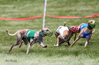 AE4I6853