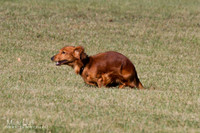 IMG_1843