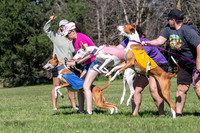 Prelims Fch 1 Ginny Willow Madyson-5425