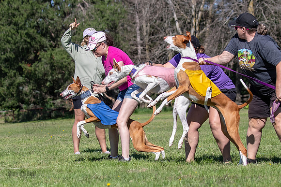 Prelims Fch 1 Ginny Willow Madyson-5425
